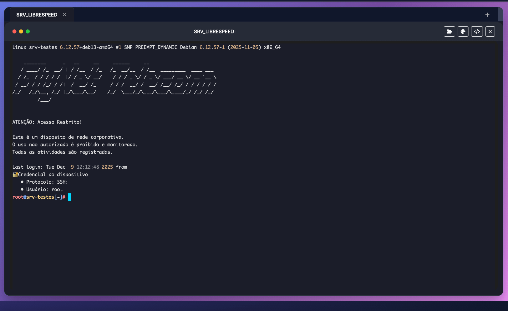 Terminal web do Manager Pro com uma sessão SSH aberta em um servidor Linux